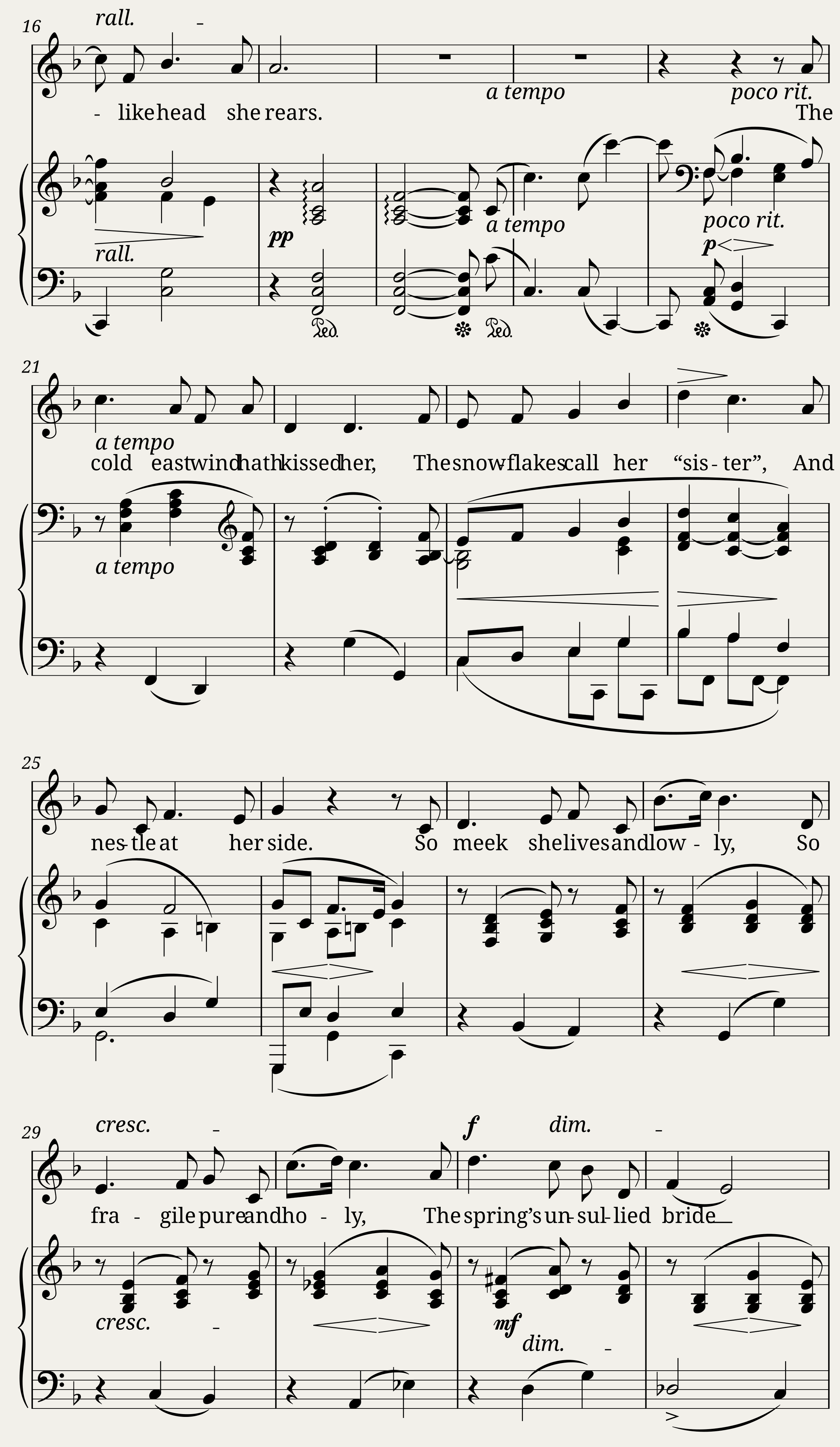 The Windflower — 2/3
